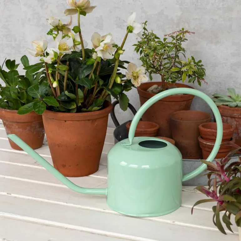 Arrosoir en métal 1Ltr - Vert pistache