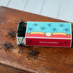 Boîte de 20 Araignées