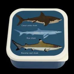 Boîtes à Collation Sharks (Ensemble de 3)