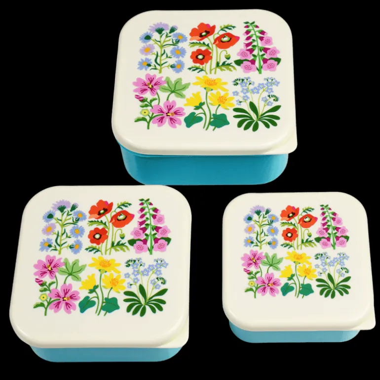Boîtes à Collation Wild Flowers (Ensemble de 3)