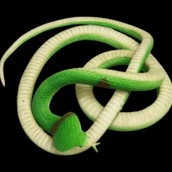 Cobra en Caoutchouc