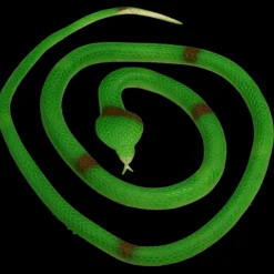 Cobra en Caoutchouc