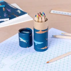 Crayons de Couleur Requins en Tube (Lot de 12)
