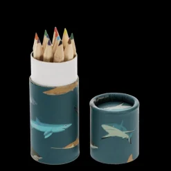 Crayons de Couleur Requins en Tube (Lot de 12)