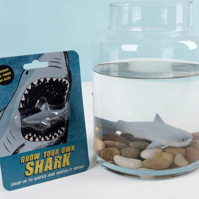 Faites Grandir Votre Propre Requin