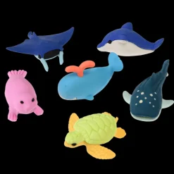 Gommes Océan (Lot de 6)
