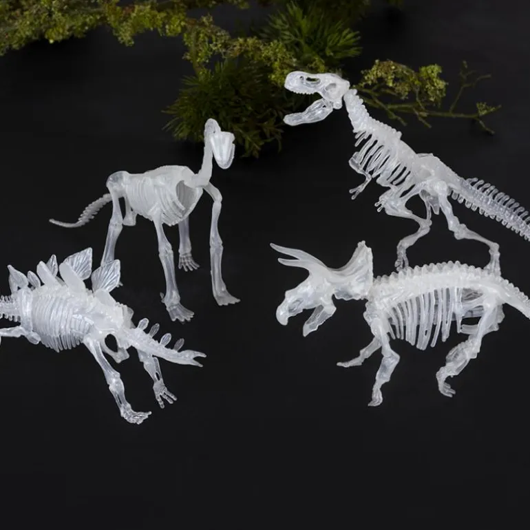 Kit d'Assemblage Dinosaure (Assorties)
