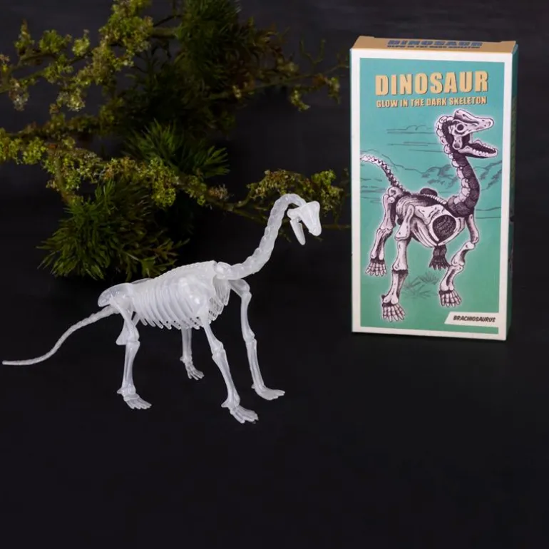 Kit d'Assemblage Dinosaure (Assorties)