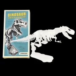 Kit d'Assemblage Dinosaure (Assorties)