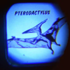 Torche de Projecteur Prehistoric Land